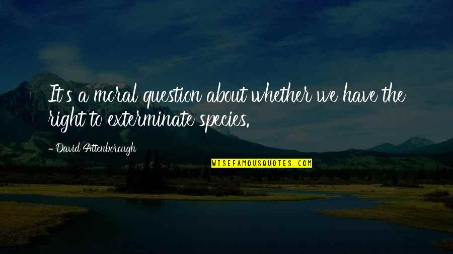 Exterminate Quotes By David Attenborough: It's a moral question about whether we have Exterminate Quotes By David Attenborough: It's a moral question about whether we have
