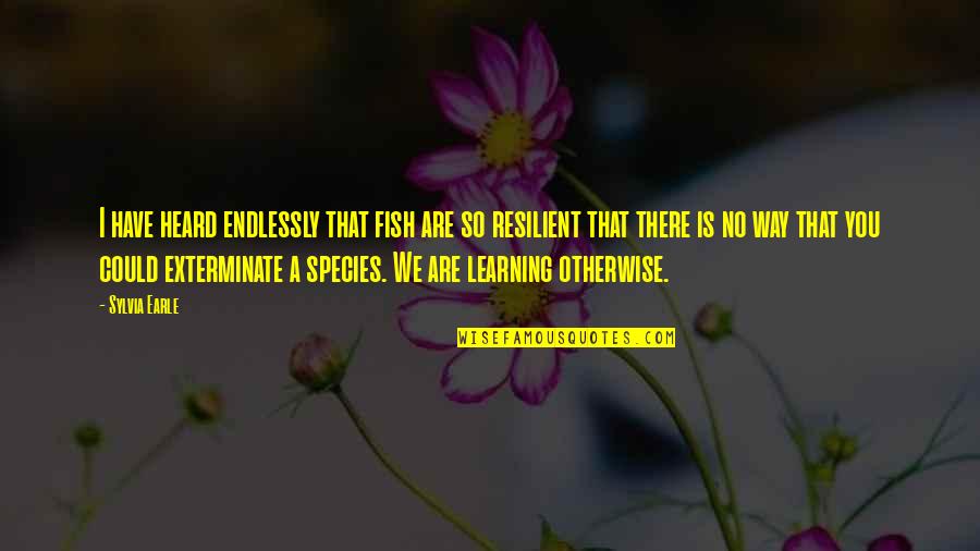 Exterminate Quotes By Sylvia Earle: I have heard endlessly that fish are so