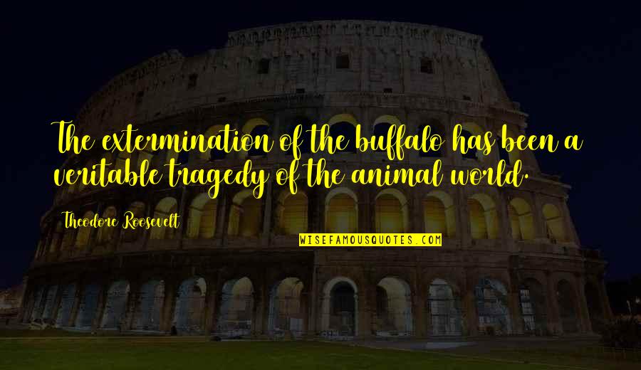 Extermination By Quotes By Theodore Roosevelt: The extermination of the buffalo has been a Extermination By Quotes By Theodore Roosevelt: The extermination of the buffalo has been a