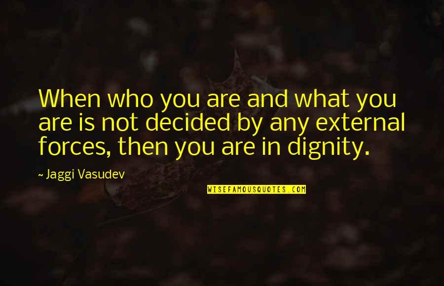 External Forces Quotes By Jaggi Vasudev: When who you are and what you are