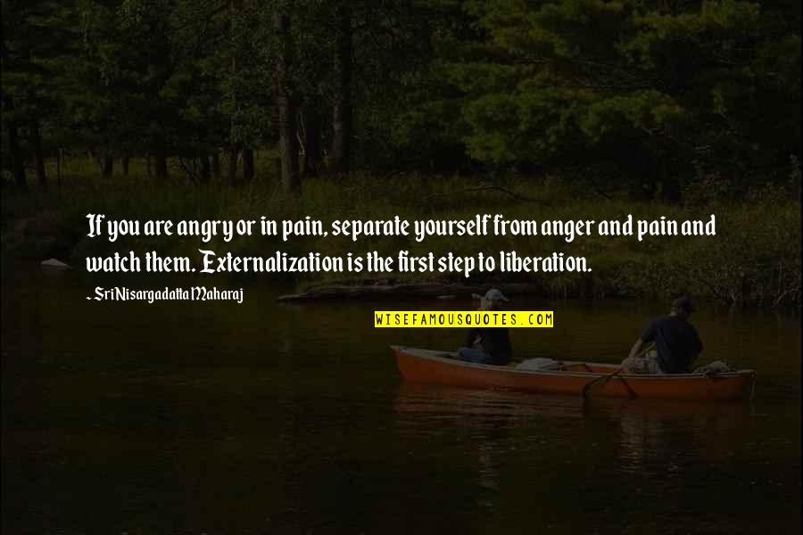 Externalization Quotes By Sri Nisargadatta Maharaj: If you are angry or in pain, separate