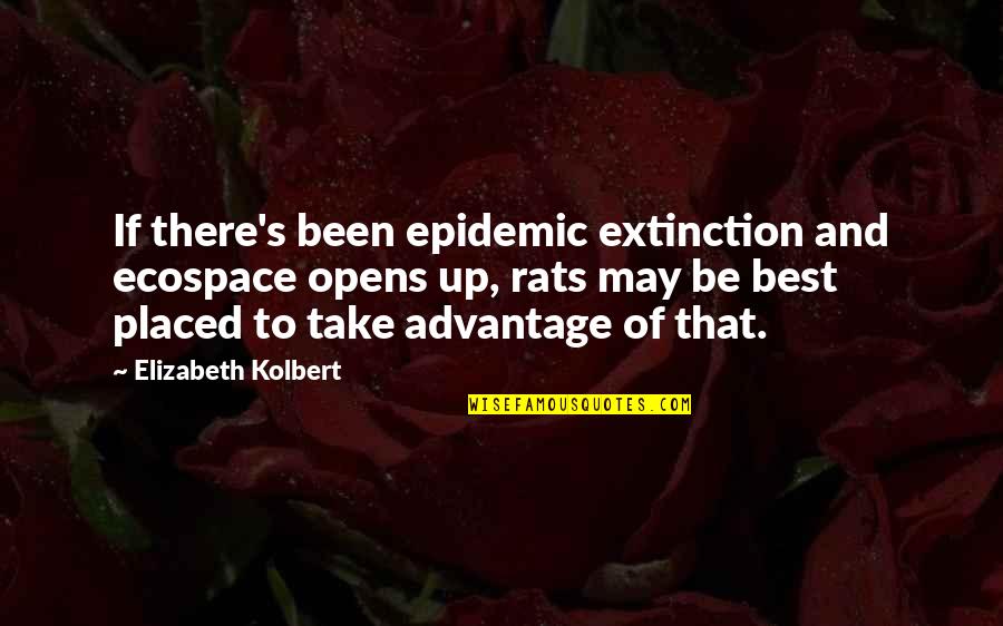Extinction Quotes By Elizabeth Kolbert: If there's been epidemic extinction and ecospace opens