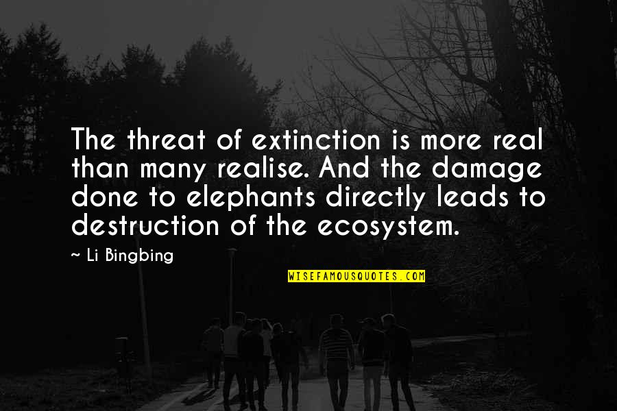 Extinction Quotes By Li Bingbing: The threat of extinction is more real than