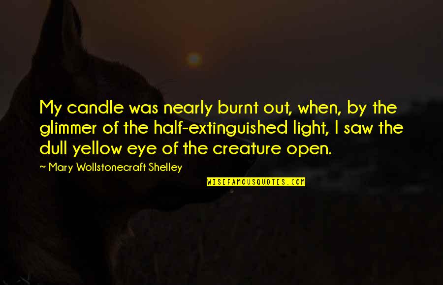 Extinguished Quotes By Mary Wollstonecraft Shelley: My candle was nearly burnt out, when, by