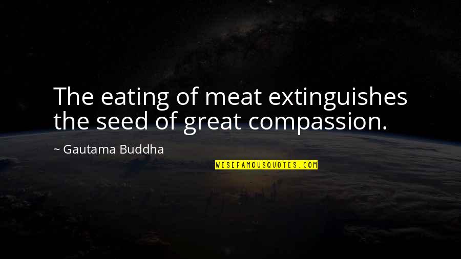 Extinguishes Quotes By Gautama Buddha: The eating of meat extinguishes the seed of Extinguishes Quotes By Gautama Buddha: The eating of meat extinguishes the seed of