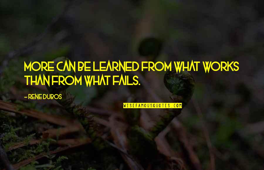 Extra Gift Quotes By Rene Dubos: More can be learned from what works than