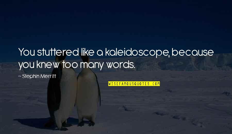 Extraliga Statistiky Quotes By Stephin Merritt: You stuttered like a kaleidoscope, because you knew