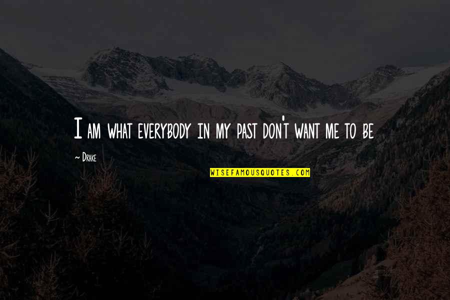 Extraordinary Achievements- Quotes By Drake: I am what everybody in my past don't