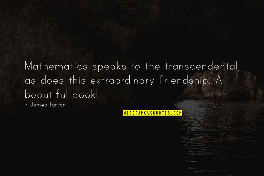 Extraordinary Quotes By James Tanton: Mathematics speaks to the transcendental, as does this