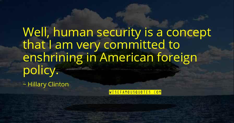 Extravagating Quotes By Hillary Clinton: Well, human security is a concept that I