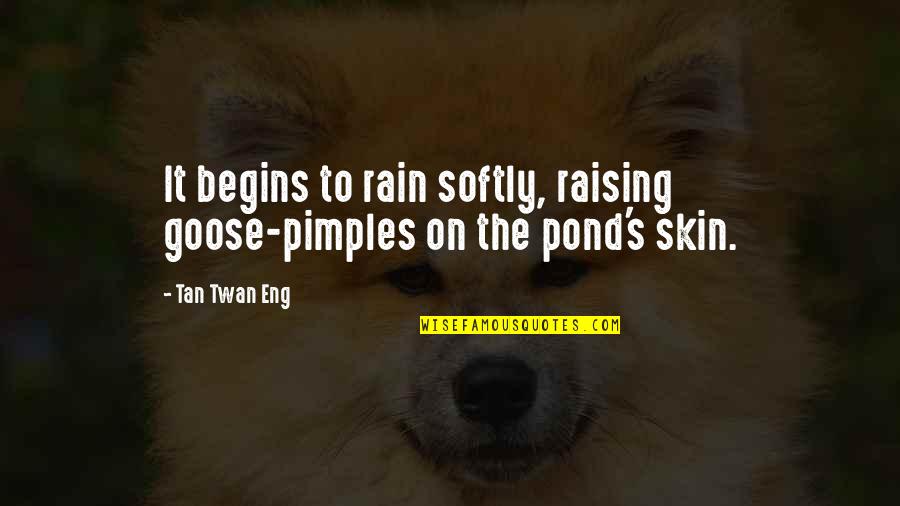 Extremadamente Vil Quotes By Tan Twan Eng: It begins to rain softly, raising goose-pimples on