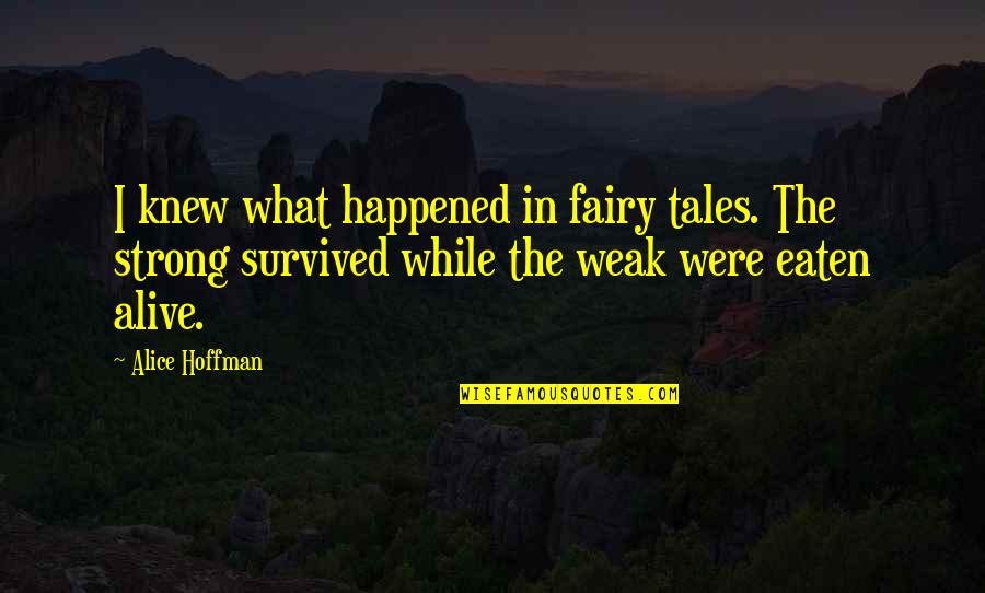 Extremely Sad Short Quotes By Alice Hoffman: I knew what happened in fairy tales. The