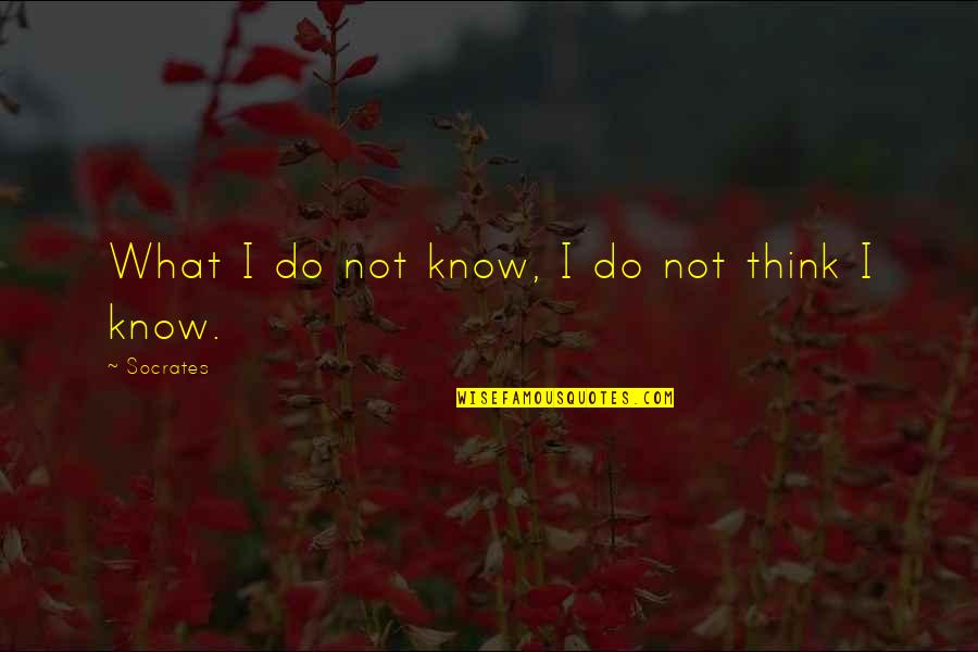 Extremism Quotes Quotes By Socrates: What I do not know, I do not