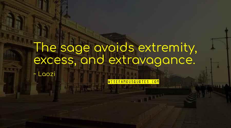 Extremity Quotes By Laozi: The sage avoids extremity, excess, and extravagance.