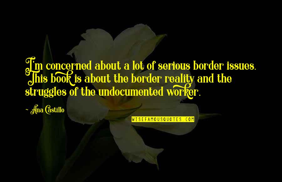 Exuberance Antonym Quotes By Ana Castillo: I'm concerned about a lot of serious border