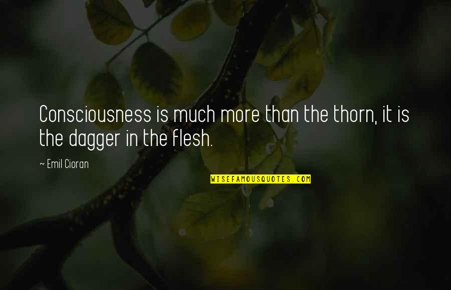 Exudation Crossword Quotes By Emil Cioran: Consciousness is much more than the thorn, it