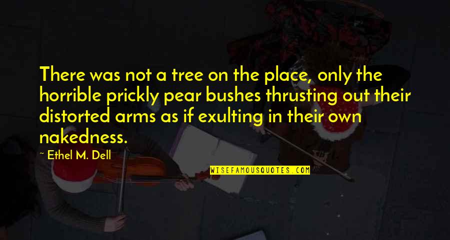 Exulting Quotes By Ethel M. Dell: There was not a tree on the place,
