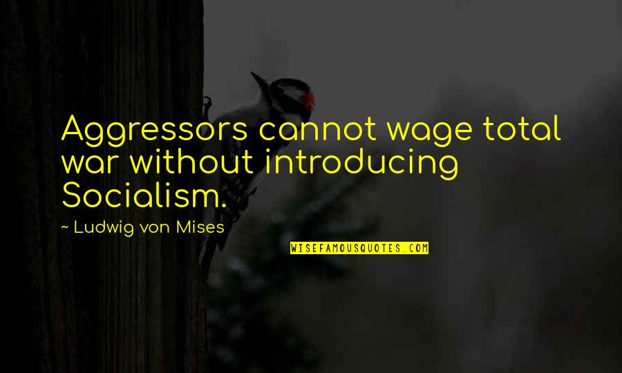 Eyam Museum Quotes By Ludwig Von Mises: Aggressors cannot wage total war without introducing Socialism.