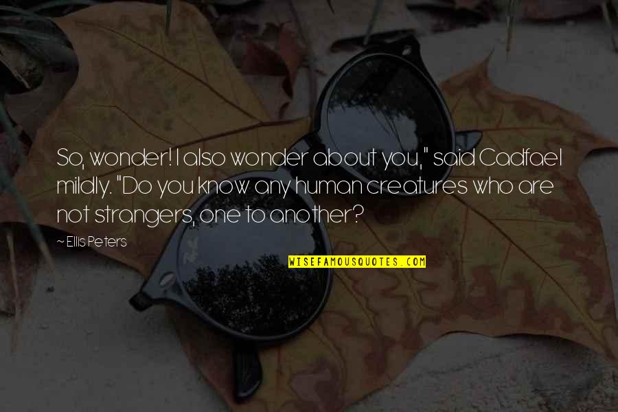 Eyder Quotes By Ellis Peters: So, wonder! I also wonder about you," said Eyder Quotes By Ellis Peters: So, wonder! I also wonder about you," said