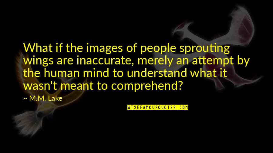 Eye Care Quotes By M.M. Lake: What if the images of people sprouting wings