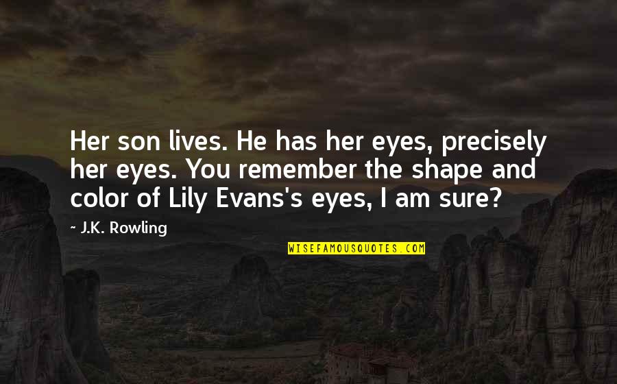 Eye Color Quotes By J.K. Rowling: Her son lives. He has her eyes, precisely