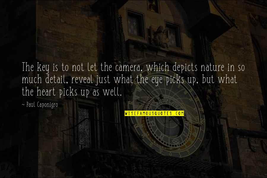 Eye For Detail Quotes By Paul Caponigro: The key is to not let the camera,