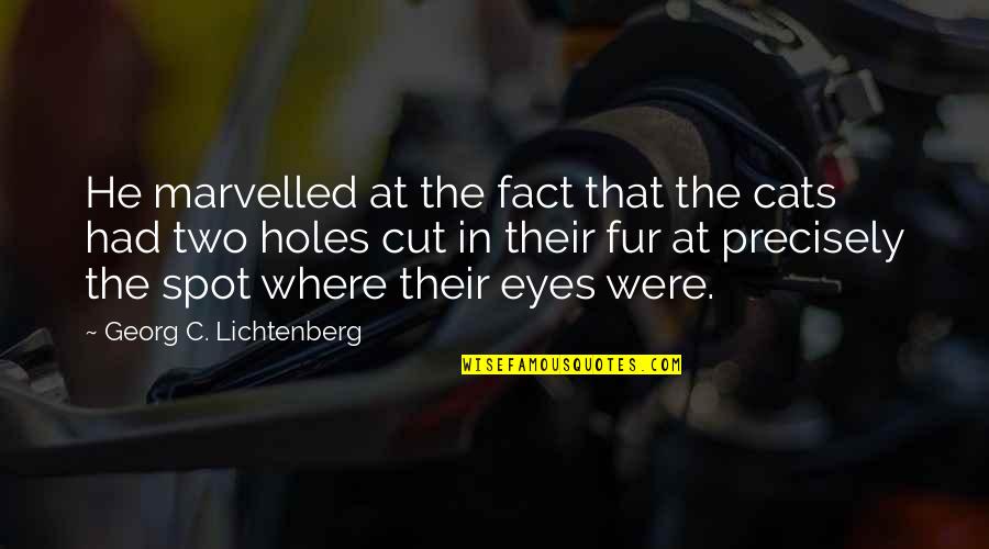 Eye Holes Quotes By Georg C. Lichtenberg: He marvelled at the fact that the cats