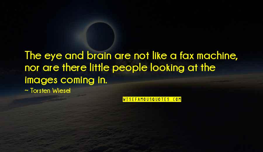 Eye Images Quotes By Torsten Wiesel: The eye and brain are not like a