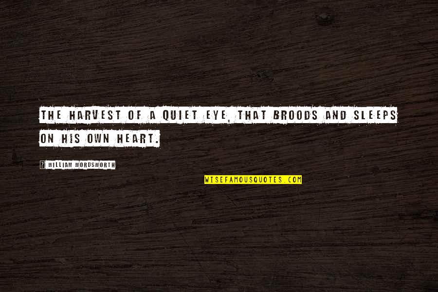 Eye On Eye Quotes By William Wordsworth: The harvest of a quiet eye, That broods
