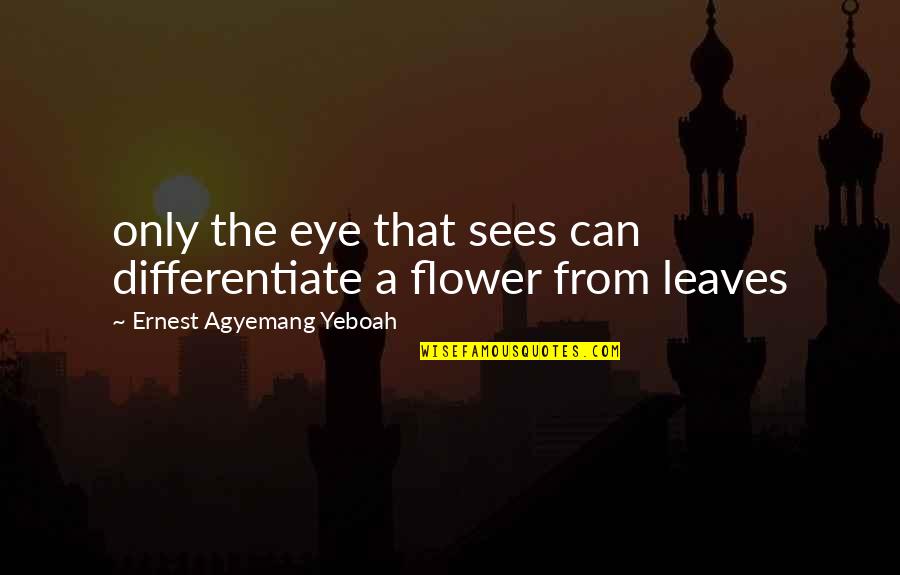 Eye Quotes And Quotes By Ernest Agyemang Yeboah: only the eye that sees can differentiate a