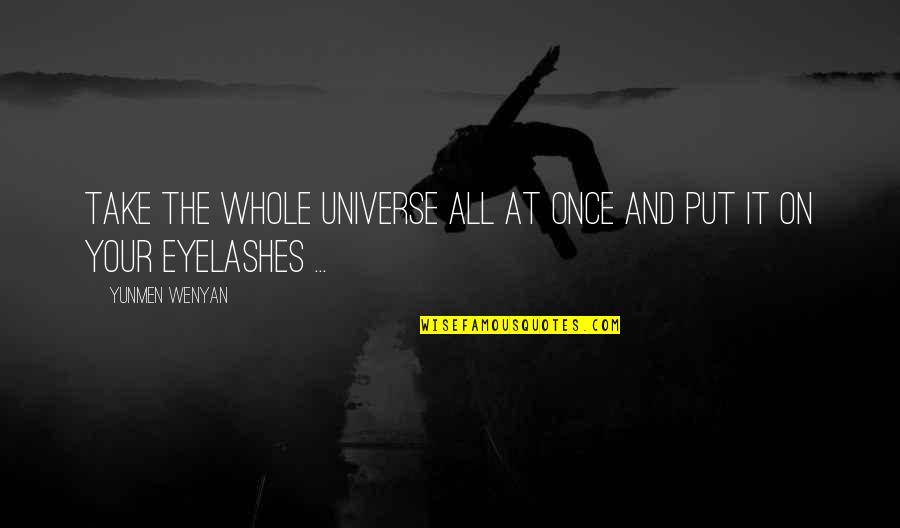Eyelashes Quotes By Yunmen Wenyan: Take the whole universe all at once and