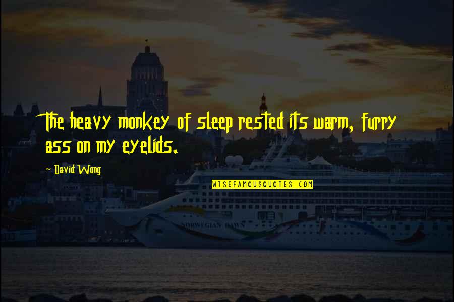 Eyelids Quotes By David Wong: The heavy monkey of sleep rested its warm,