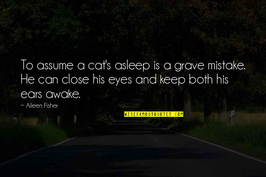 Eyes And Ears Quotes By Aileen Fisher: To assume a cat's asleep is a grave