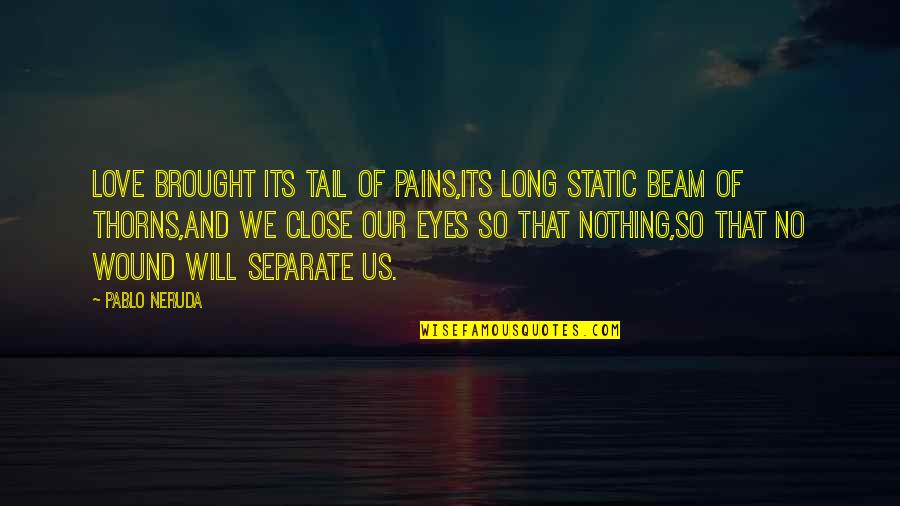 Eyes And Heart Quotes By Pablo Neruda: Love brought its tail of pains,its long static