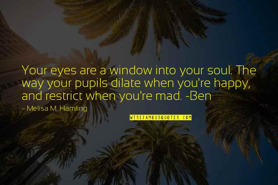 Eyes And Soul Quotes By Melisa M. Hamling: Your eyes are a window into your soul.