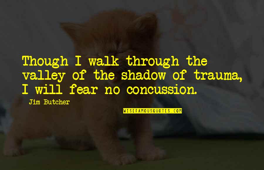 Eyes Can Mislead Quotes By Jim Butcher: Though I walk through the valley of the