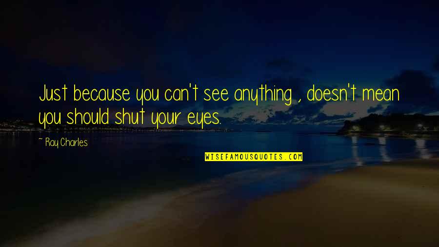 Eyes Can See Quotes By Ray Charles: Just because you can't see anything , doesn't
