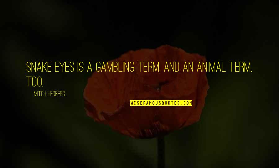 Eyes Funny Quotes By Mitch Hedberg: Snake eyes is a gambling term, and an Eyes Funny Quotes By Mitch Hedberg: Snake eyes is a gambling term, and an