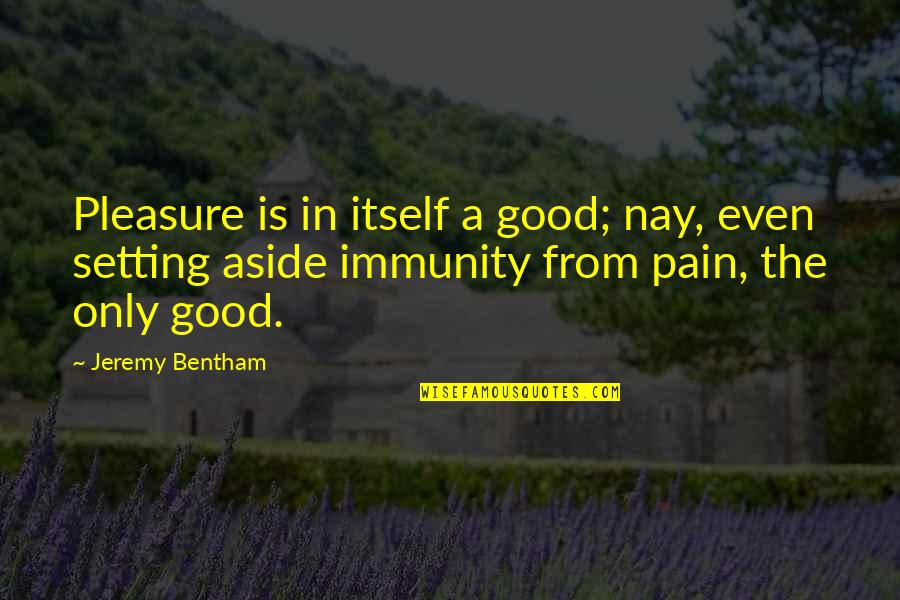 Eyes In Spanish Quotes By Jeremy Bentham: Pleasure is in itself a good; nay, even