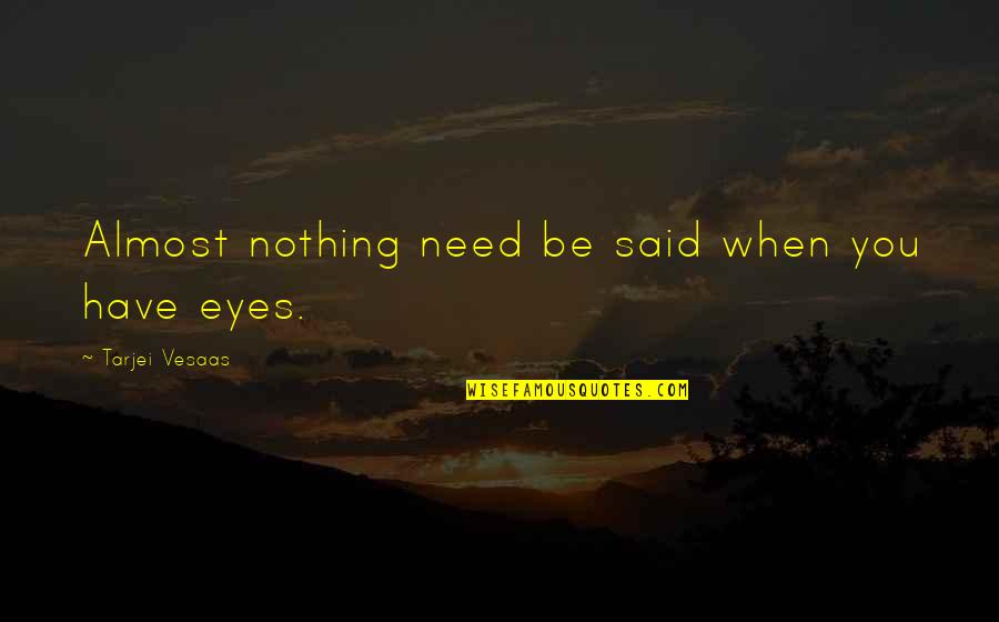 Eyes Speaking Quotes By Tarjei Vesaas: Almost nothing need be said when you have