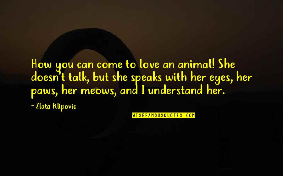 Eyes Talk Quotes By Zlata Filipovic: How you can come to love an animal!