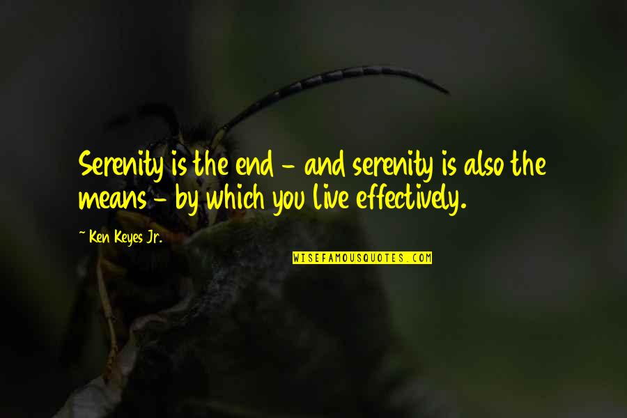 Eyethe Spy Quotes By Ken Keyes Jr.: Serenity is the end - and serenity is Eyethe Spy Quotes By Ken Keyes Jr.: Serenity is the end - and serenity is