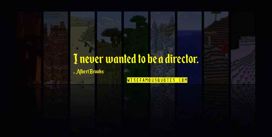 Eymeric Knights Quotes By Albert Brooks: I never wanted to be a director. Eymeric Knights Quotes By Albert Brooks: I never wanted to be a director.