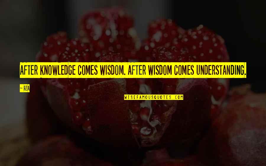 Ezip Scooters Quotes By RZA: After knowledge comes wisdom. After wisdom comes understanding.