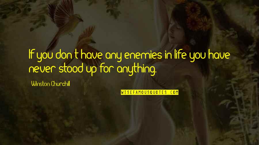 Ezquerra Seamers Quotes By Winston Churchill: If you don't have any enemies in life