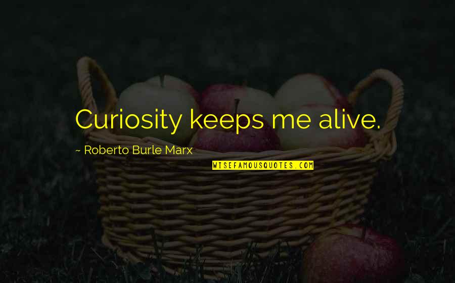 Ezra Pound Cantos Quotes By Roberto Burle Marx: Curiosity keeps me alive.