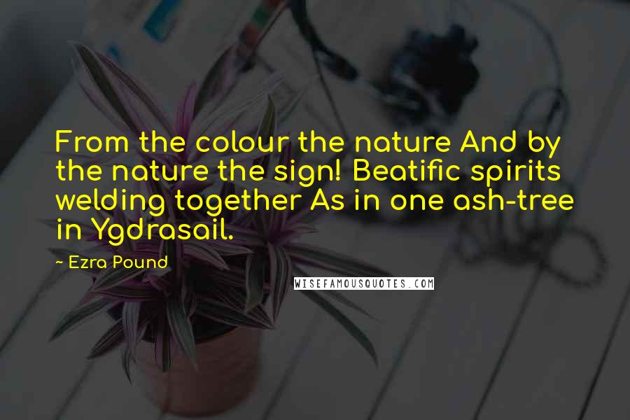 Ezra Pound quotes: From the colour the nature And by the nature the sign! Beatific spirits welding together As in one ash-tree in Ygdrasail. Ezra Pound quotes: From the colour the nature And by the nature the sign! Beatific spirits welding together As in one ash-tree in Ygdrasail.