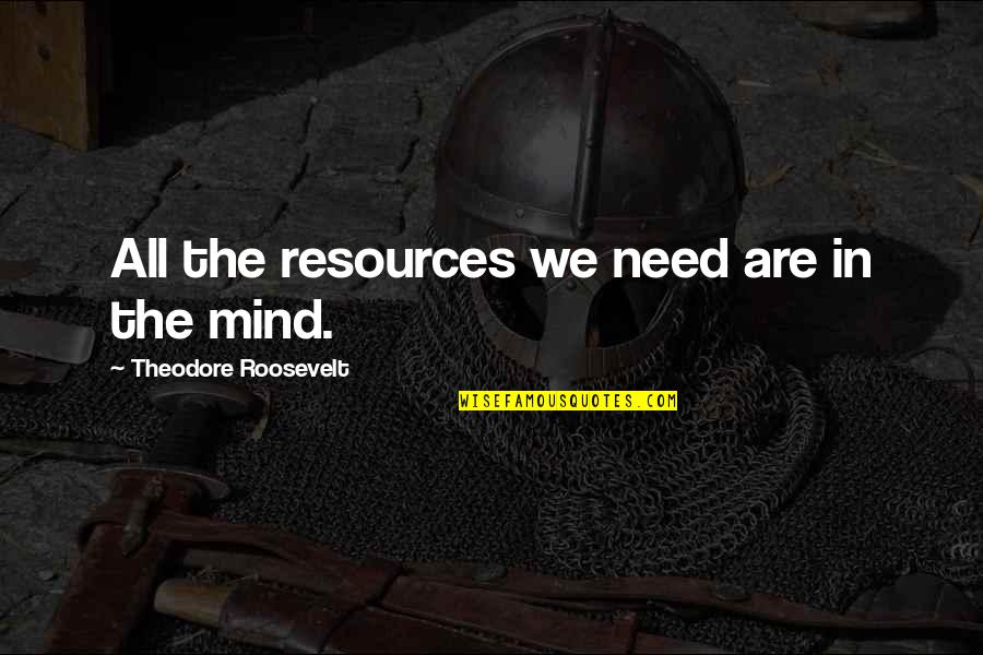 F D Roosevelt Quotes By Theodore Roosevelt: All the resources we need are in the