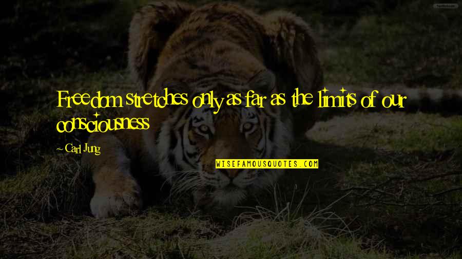 F E Aircraft Maintenance Quotes By Carl Jung: Freedom stretches only as far as the limits