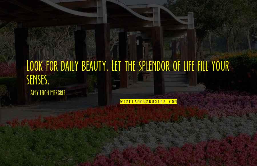 F E U Vs La Quotes By Amy Leigh Mercree: Look for daily beauty. Let the splendor of